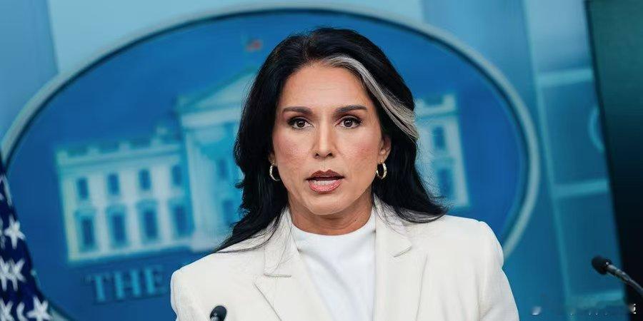 1、图尔西·加巴德的新克林顿阴谋被揭穿是俄罗斯的宣传2、最新民调发现，独立人士对