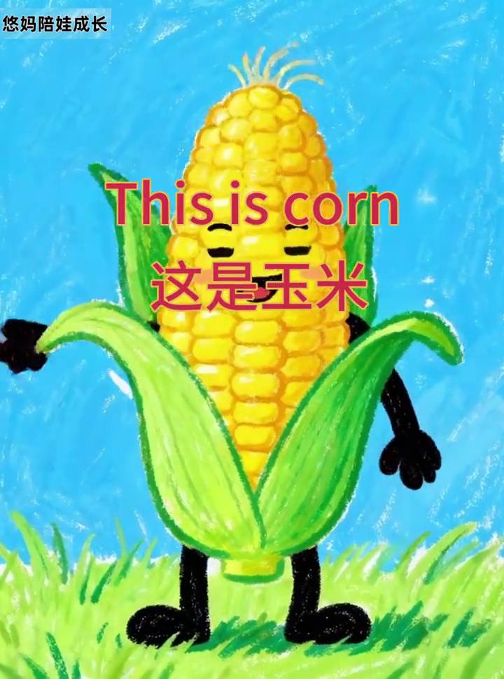 悠妈陪娃成长。这是玉米，玉米有黄色的颗粒，它外面有绿色的叶子。玉米吃起来很甜，