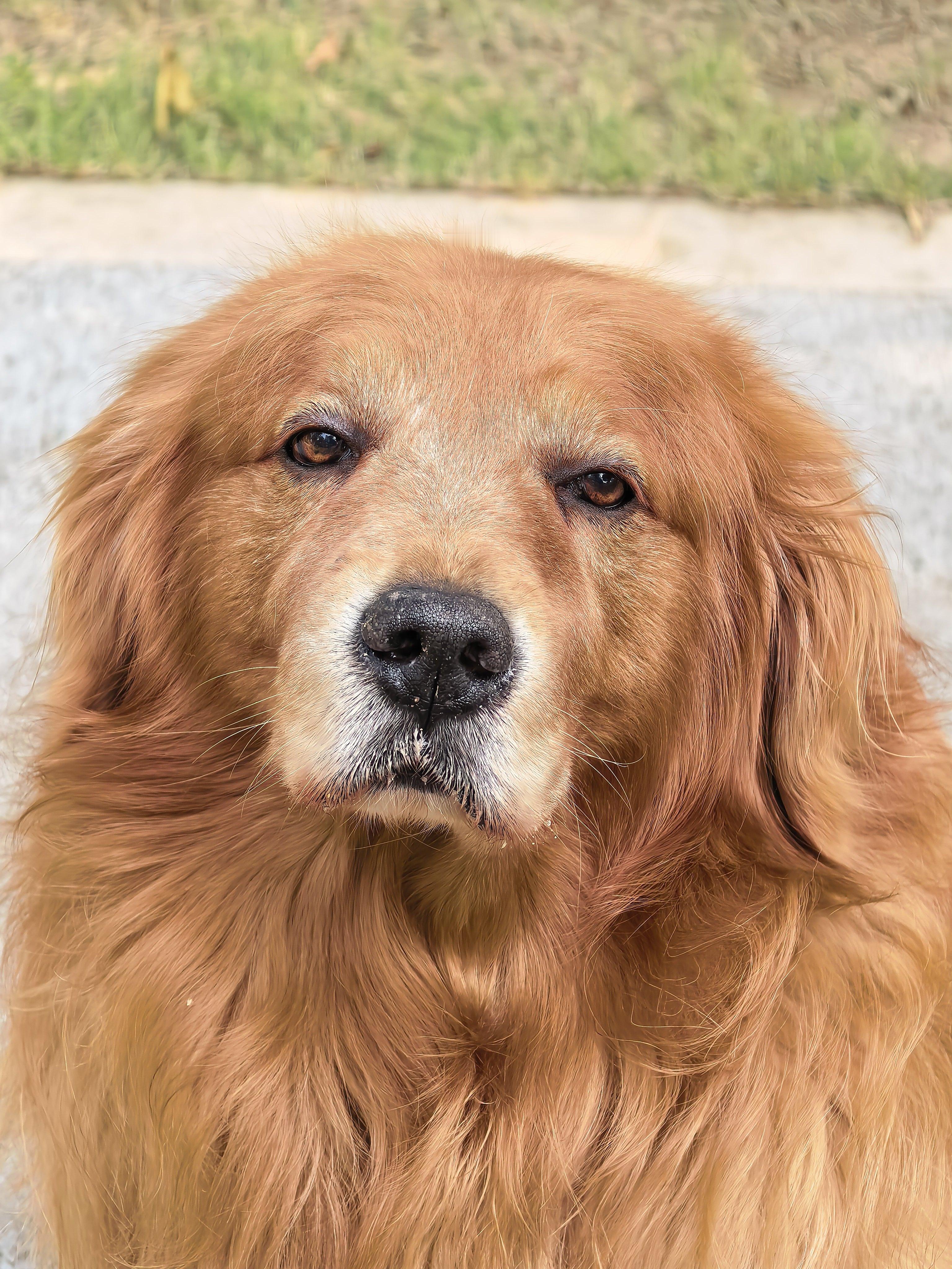 老大开心不开心，全写脸上