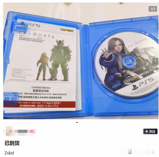 在正式发售前一天，《识质存在》遭破解组织DenuvOwO提前泄露，Denuv