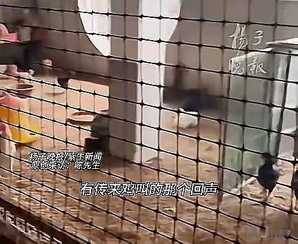 就没见过这么离谱的事儿！福建泉州的陈大哥，花500多万建的别墅，因为家人在外经商