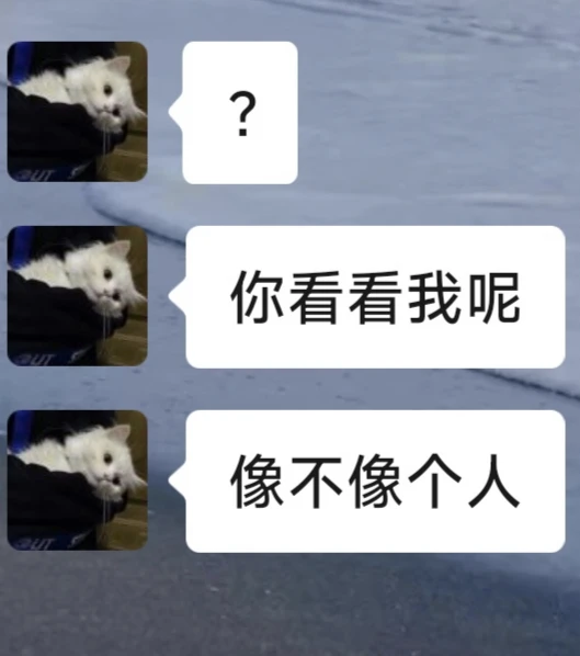 男朋友的有梗程度belike