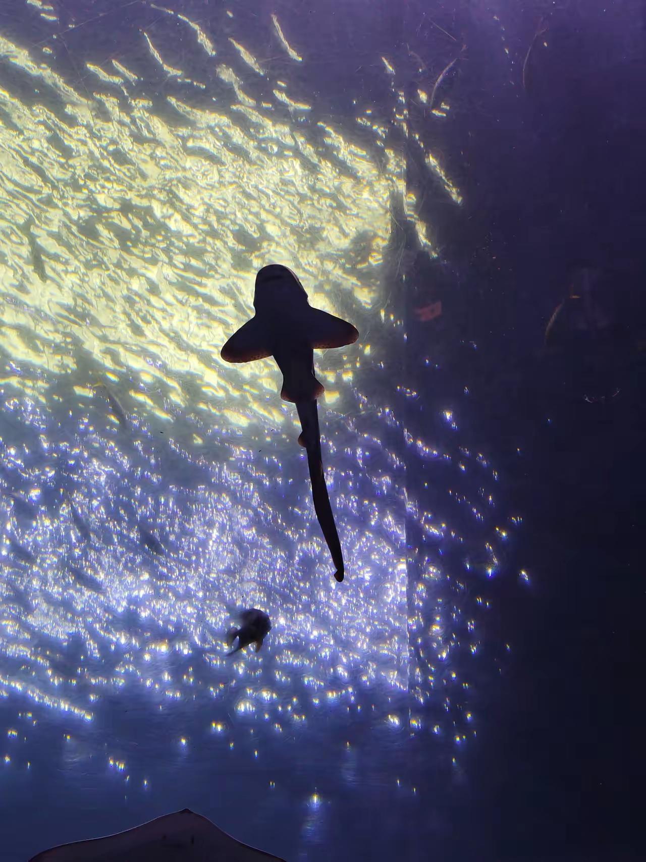 2026年，普通人的股市赚钱机遇？直觉有时候很神奇，它就像一种内心的声音。