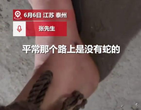 深夜泰州的空气透着丝丝湿润，月光温柔地洒落在田间小道上，四周时不时传来阵阵虫鸣声