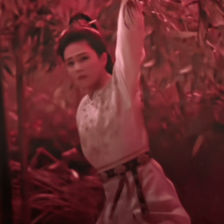 白鹿这段打戏，真是拉子看了做C梦，直女看了喊老公，古早武侠那味儿太浓了，是内娱年