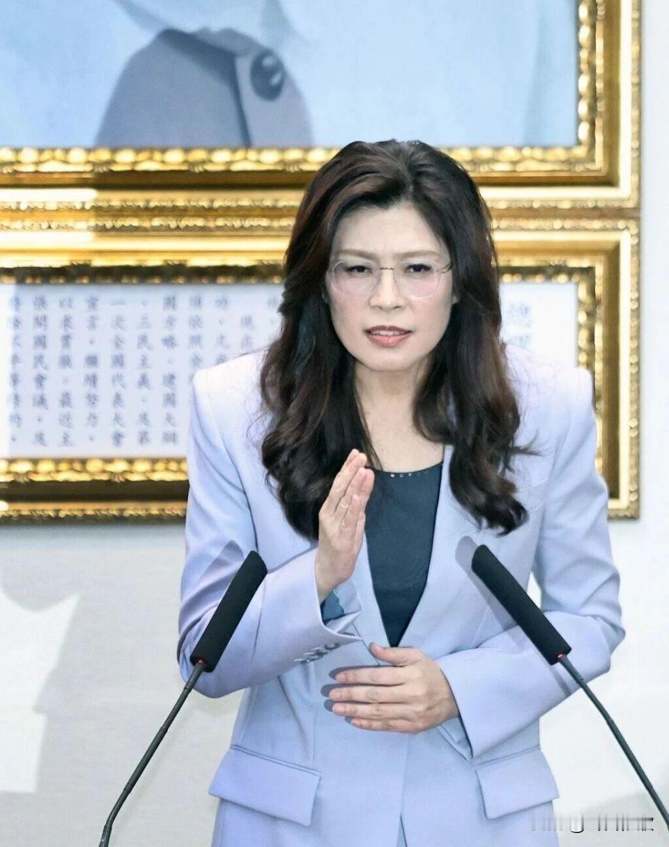 这样的国民党还能执政吗？军购条例通过后，赵少康公开喊话郑丽文，要求其必须迁就党
