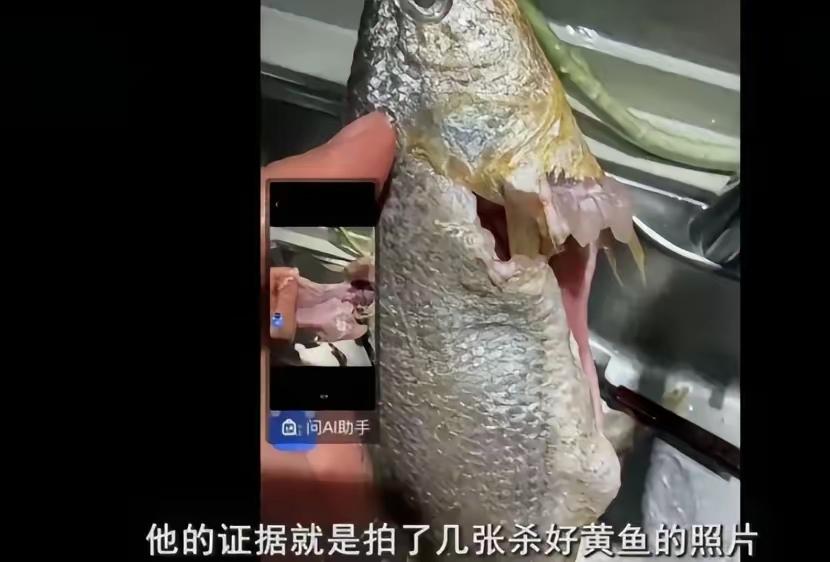 太气人！律师钻平台漏洞白吃海鲜，老实老板娘被逼跨省追债！凌晨3点，南通俞大姐