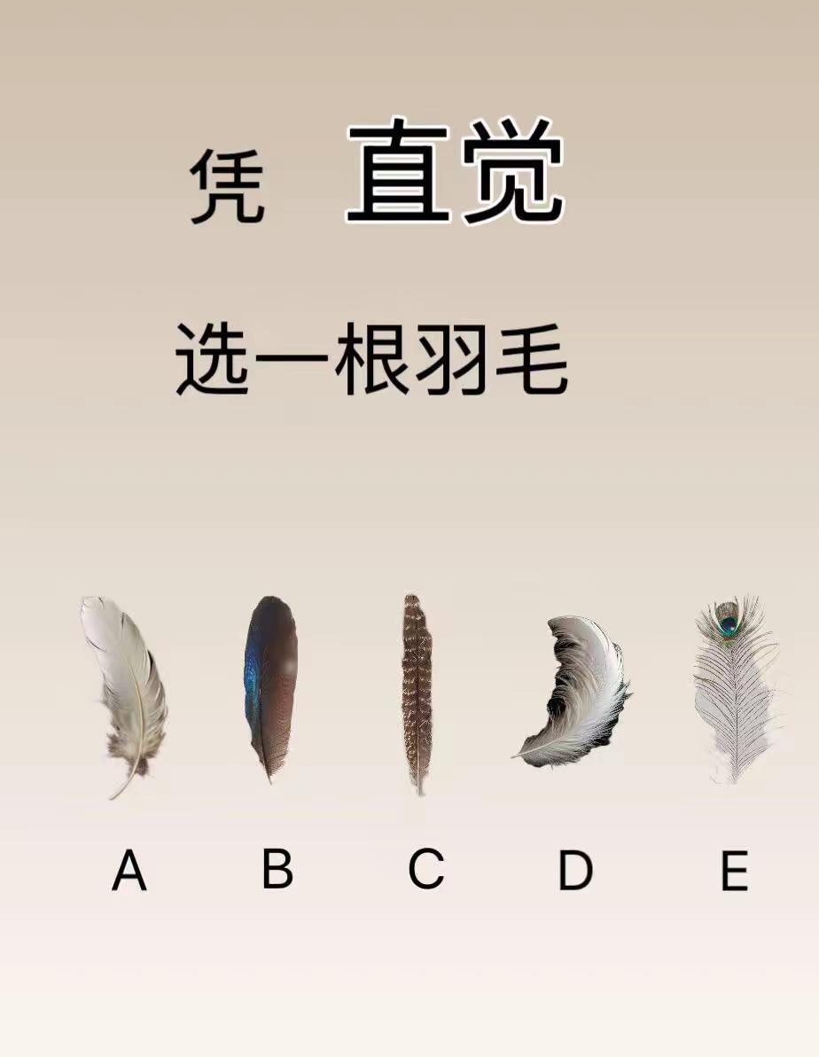 美国火爆心理测试一眼看出你隐藏性格特质秒选！！凭直觉选择一根羽毛！