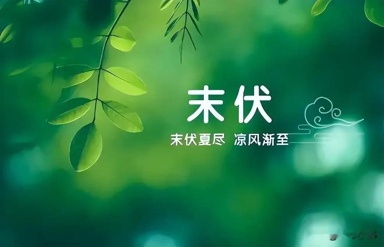 8月14日入末伏，今年末伏有1个坏消息、2个好消息，早知早做准备这几天大家