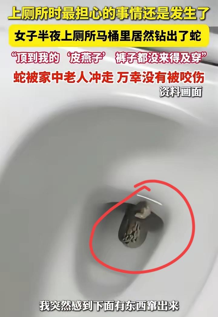 “我的天！”江苏周女士半夜上厕所，突然感觉下身被什么东西顶了一下。她回头一看，吓