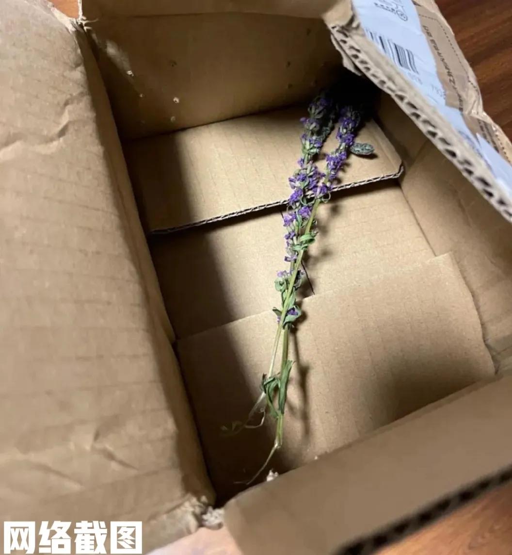 有女子突然收到来自爸爸的快递。这时女子不知爸爸寄来何物，以为是正常的生活用品