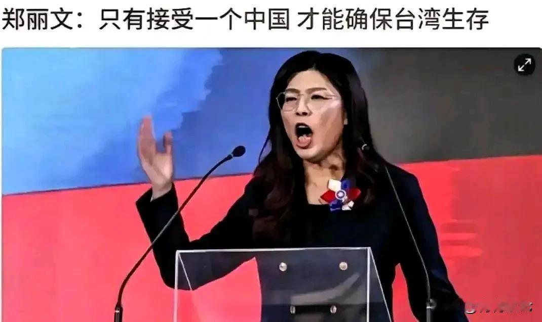 《纽约时报》酸了！美国媒体《纽约时报》专访国民党主席郑丽文。在专访中，郑丽文说，