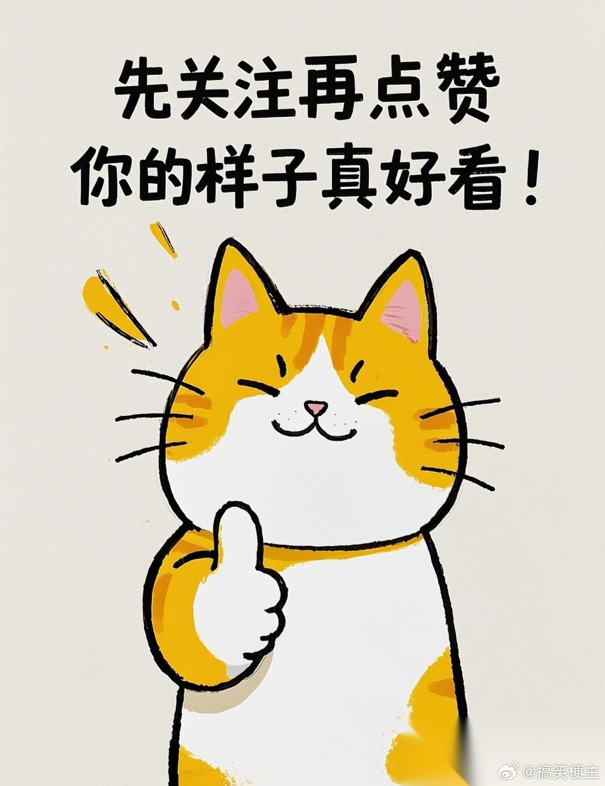 1.《中餐厅》几位嘉宾目前集体保持沉默的状态，节目组明显在力捧其中一位嘉宾，导致
