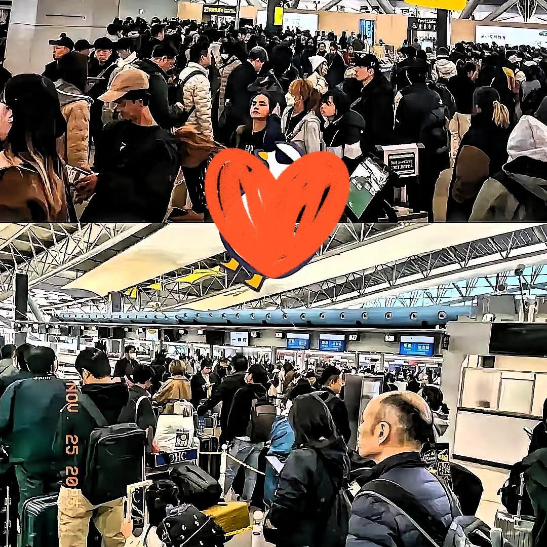 这下你傻眼了吧，赴日旅游这就是不听劝的后果！你去的怪潇洒，想回来可不容易了，航班