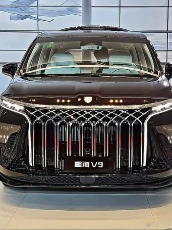 星海V9它是东风风行星海首款量产车型,它的定位中大型插电式混合动力MPV,非常适