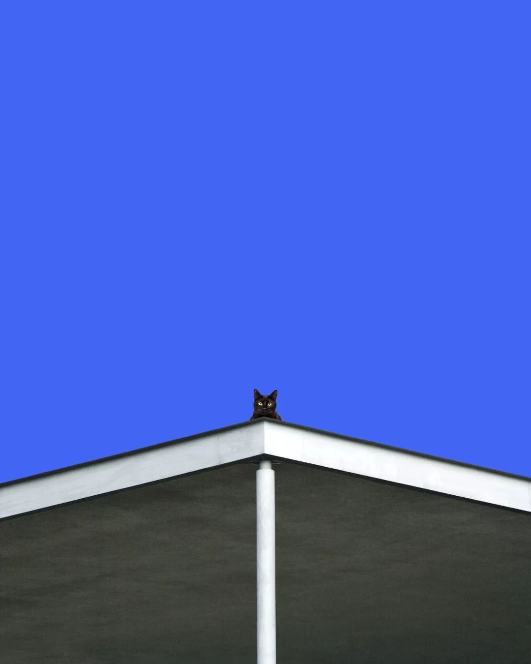 您已进入监控范围❗️