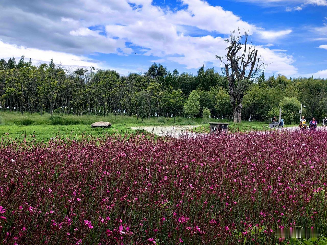 手脚总冰凉，怎么捂都不热？这些常见原因和调理方法可以参考一下。友友们，你们常