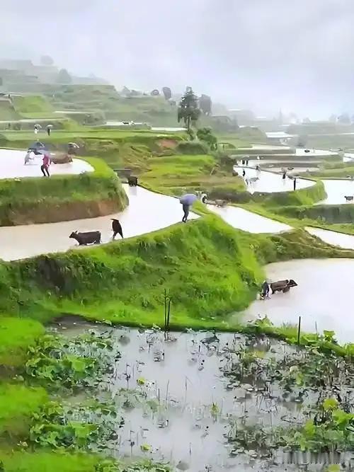 将白话文与文言文相对比，便能让人深切感受到古人语言文字艺术的魅力，实在令人心服口