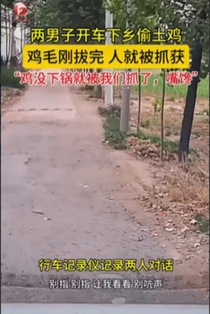丢人呐！安徽，2男子开车到农村，用弹弓打了两只大公鸡带回家，没想到晚上就被民警找