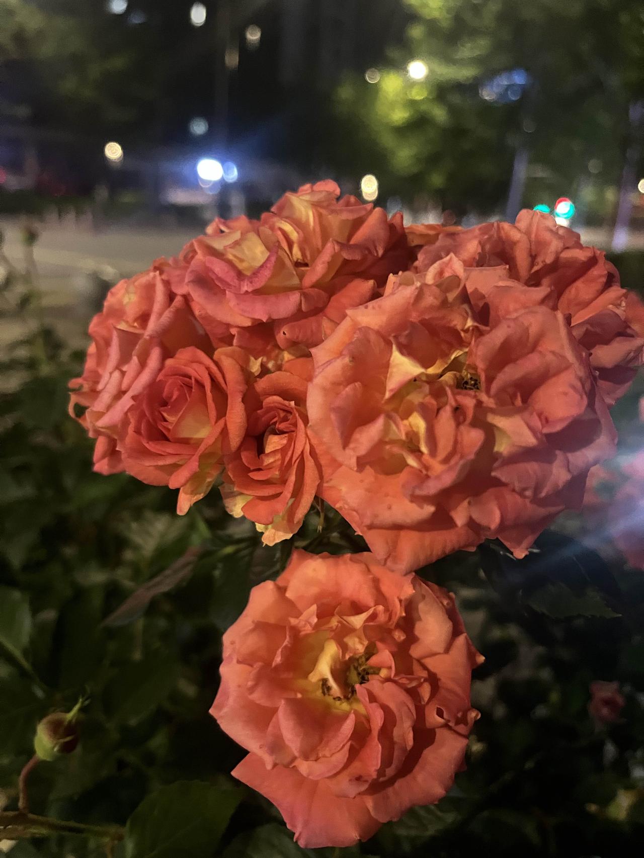 老祖宗提醒的顶级养生秘诀，越早知道越好很多人以为养生靠吃，其实真正养人的，都