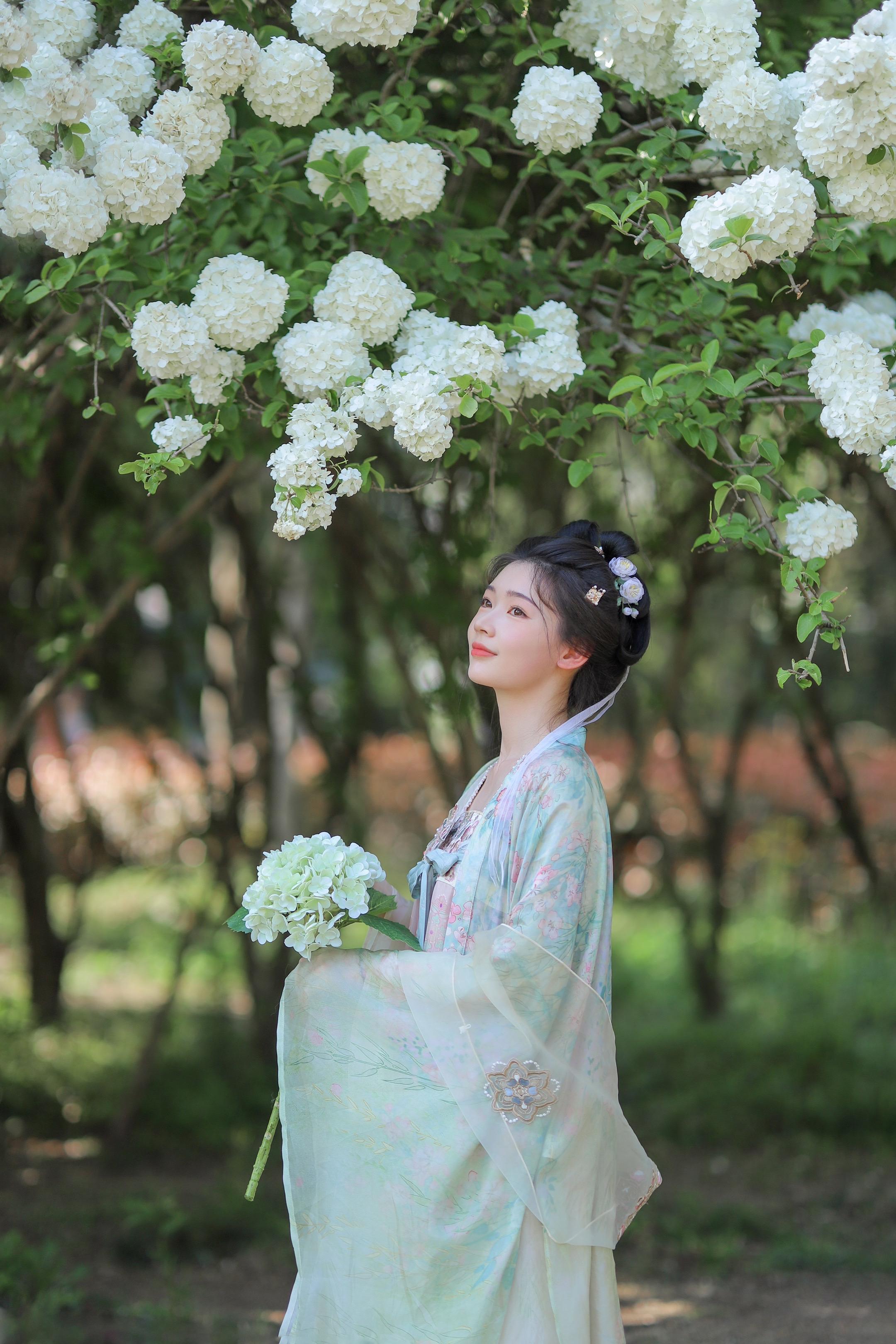 绣球花盛开的春天～她好像一阵轻柔的春风～客片分享｜杭州约拍｜汉服写真｜...