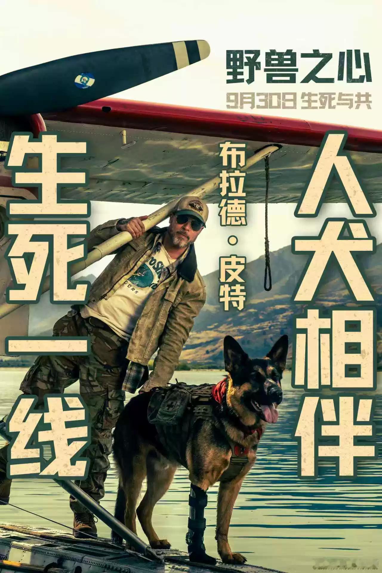 《野兽之心》北美已经上映，口碑中规中矩，这部是《制暴》《养蜂人》导演新作，说皮特