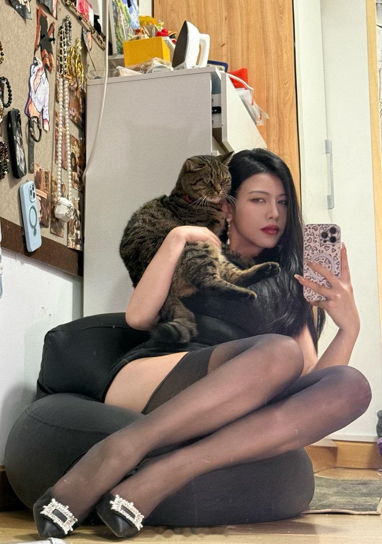 和其它小猫不一样的是违抗主人的命令是我的乐趣之一