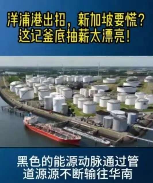 你敢信？新加坡的“航运铁饭碗”被海南洋浦港直接端了！别觉得它靠马六
