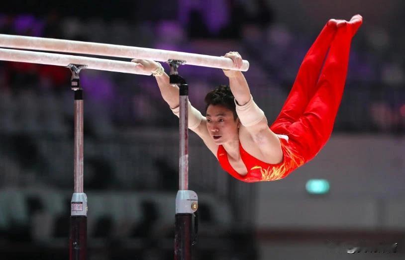 第53届世界体操锦标赛男子双杠决赛成绩单：2025年体操世锦赛男子双杠决赛在