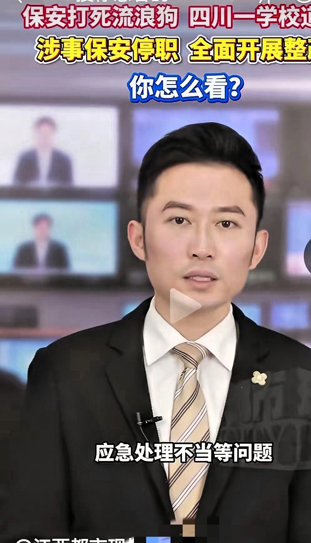 真搞不懂现在的“双标”操作有多离谱！流浪狗闯校园追着学生跑时，爱狗人士集体沉默；