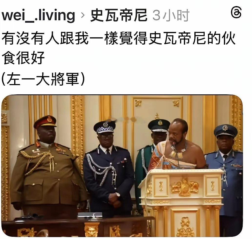 斯威士兰国王旁边这个将军，打仗肯定不会逃跑，因为他根本跑不动！
