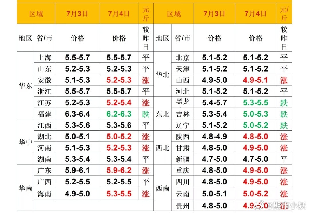 每日猪价
