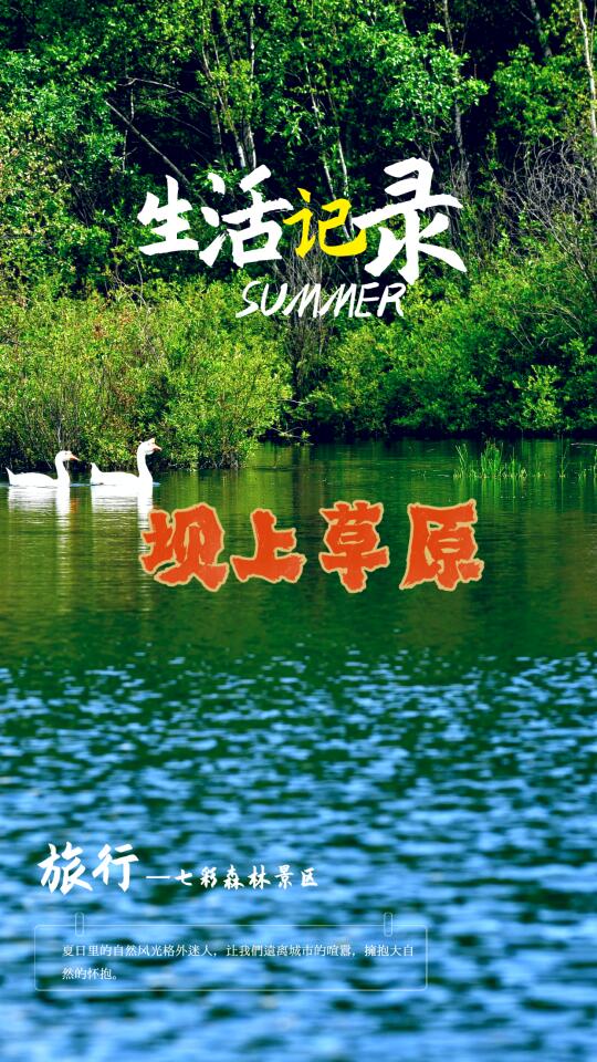 北京避暑好去处｜盛夏16℃的坝上草原
