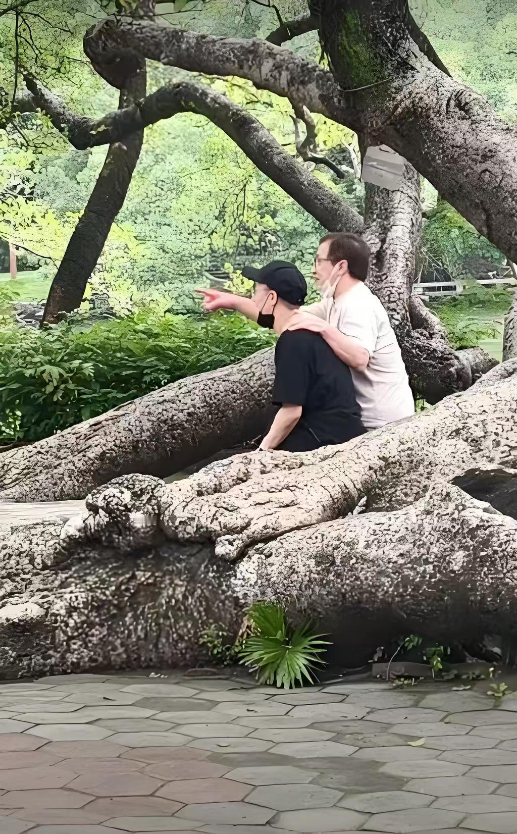 72岁成龙真的变了，对儿女柔软了很多！成龙72岁生日时，带着43岁的儿子在惠