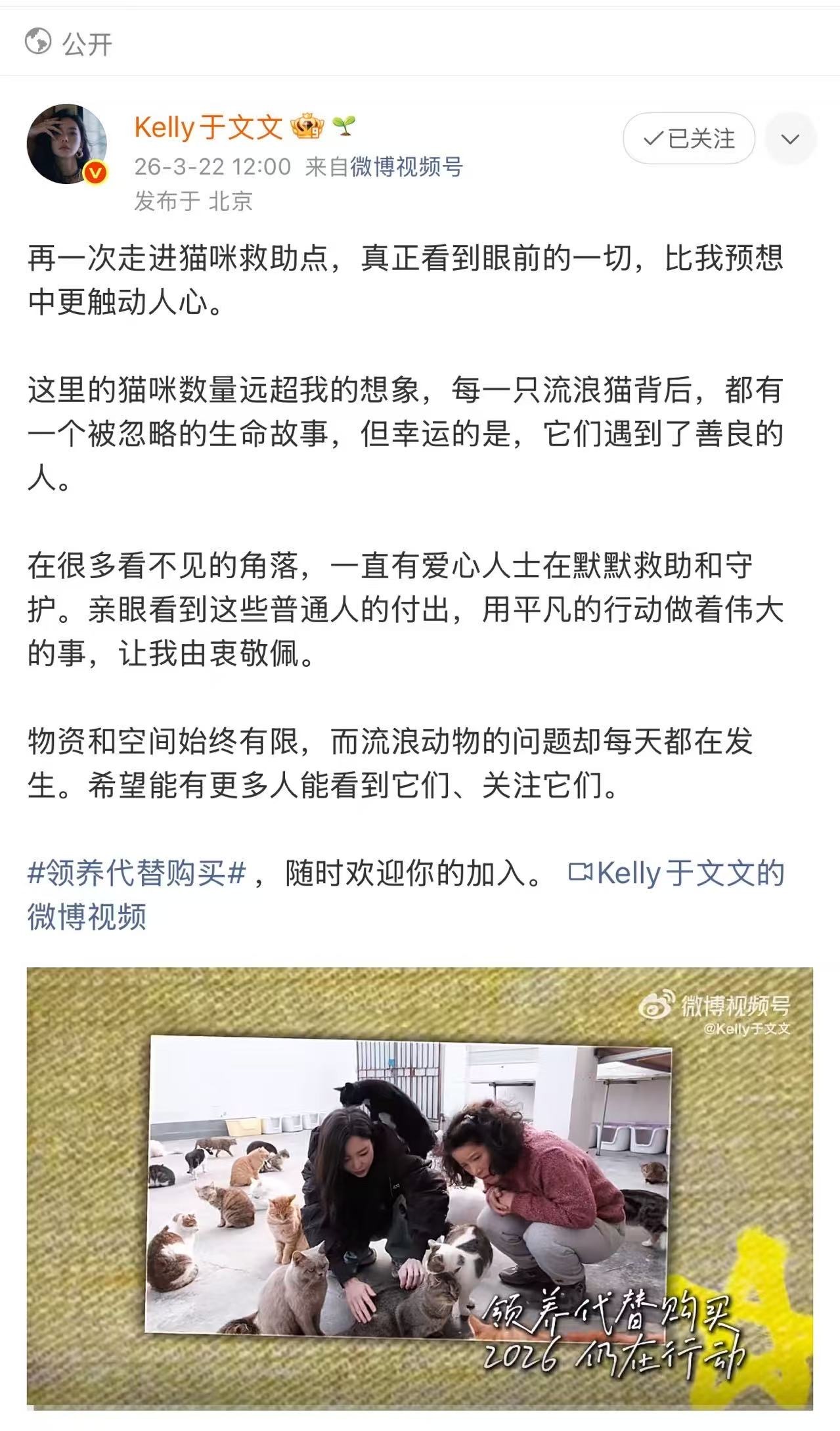 于文文呼吁领养代替购买探访猫咪救助站，镜头记录下那些被温柔以待的生命。每一个微