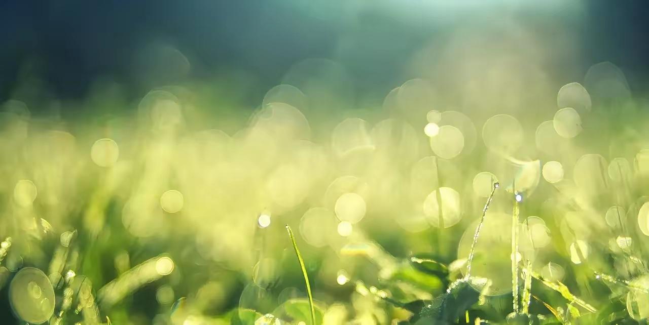 属鸡的宝子们注意啦！最近七天有大好运等着你们，这些小细节可别忽略哦！好消息来