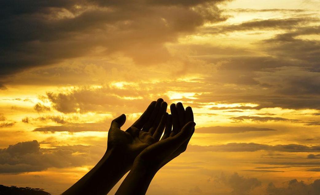 其实我挺希望在十一月剩下的几天里，券商能带着A股力挽狂澜，让十一月的月线能够收出