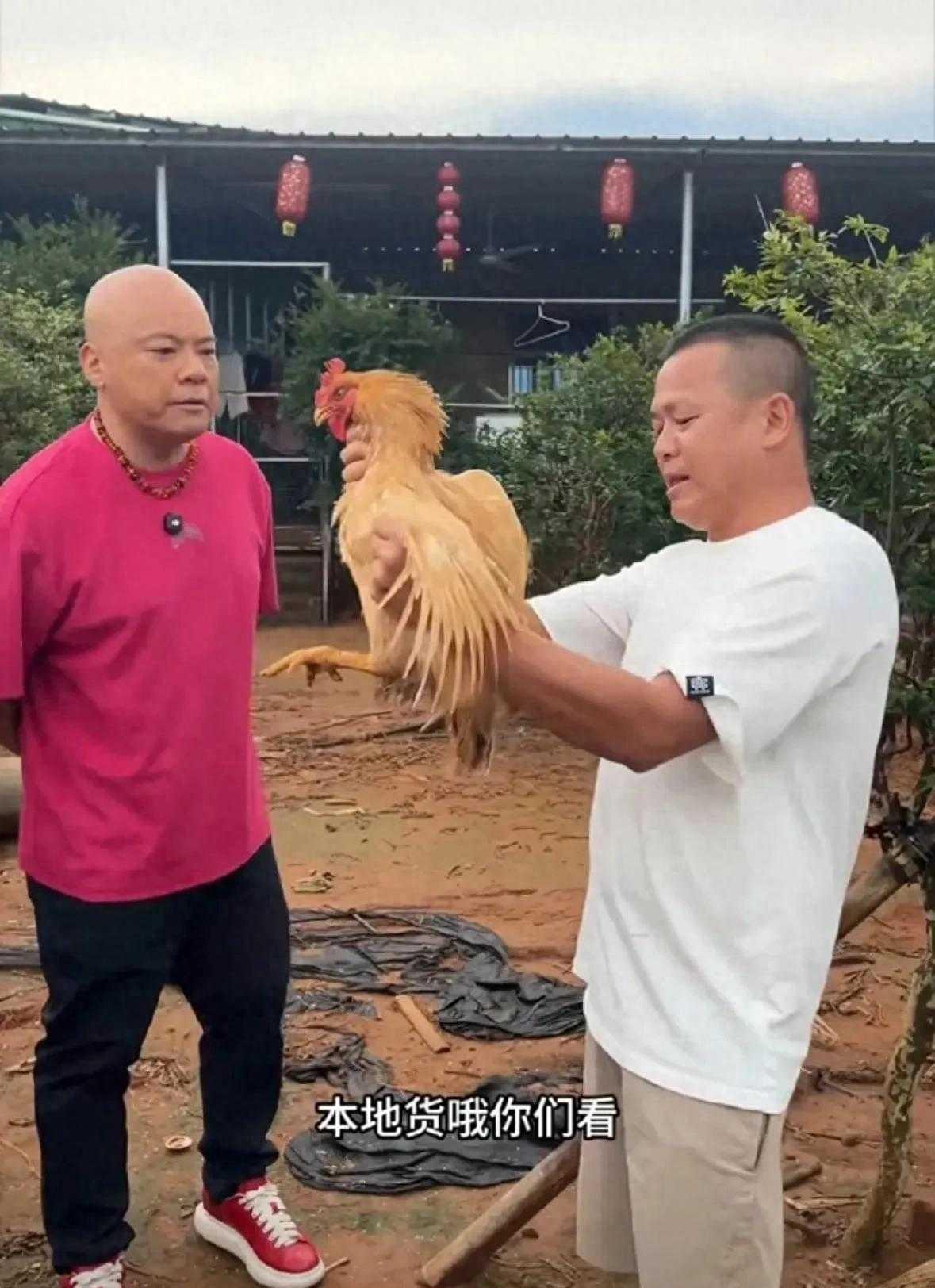 全红婵家中设宴款待主持人，一桌地道湛江家常菜全红婵父母在家接待广东台主持人，没
