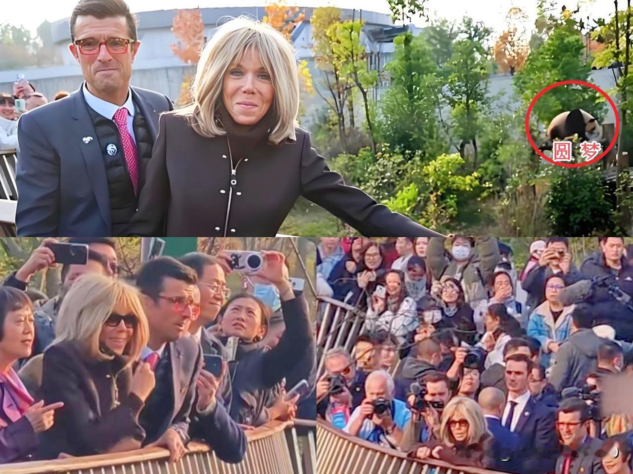 你在看熊猫，人们在看你。时隔28个月，总统夫人重逢亲自选名的小可爱：圆梦!