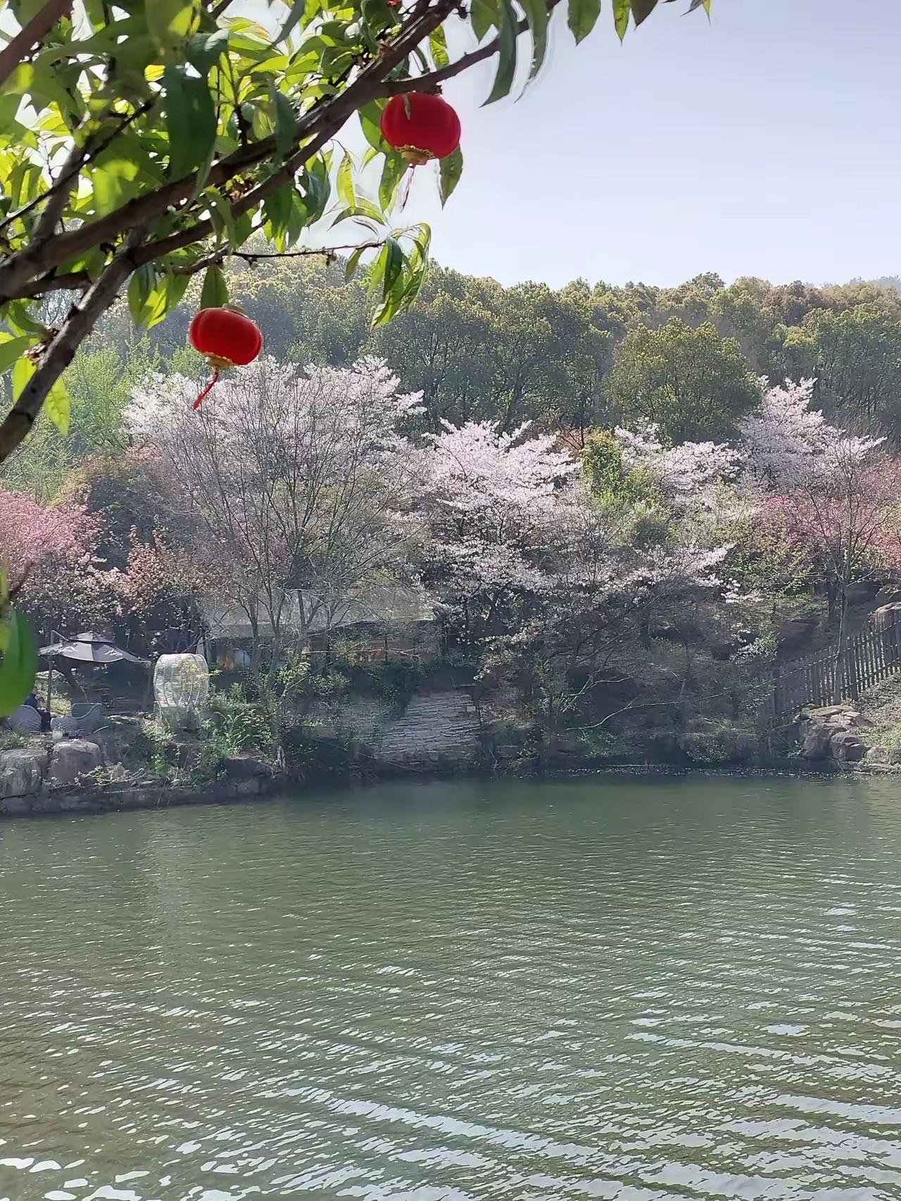 我同事，因为她老公说了一句玩笑话，离婚了，同事说和她老公没事闲聊时，她老公说了一