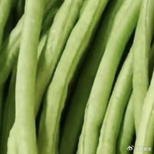 豆角的种植方法一、选地与整地：选择土层深厚、肥沃疏松、排水良好的土壤，播前深翻土