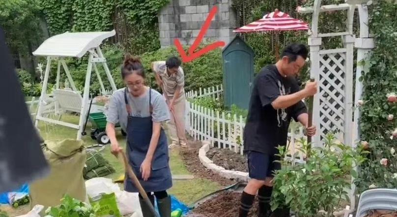苗苗与郑恺的田园对话（夕阳下，苗苗弯腰在菜地里除草，手臂上的纱布若隐若现。郑恺