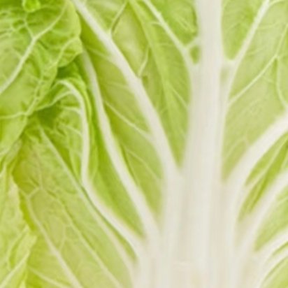 1200白菜的种植方法1.选对时间：主要是秋季种植。一般在立秋前后（8月上中旬