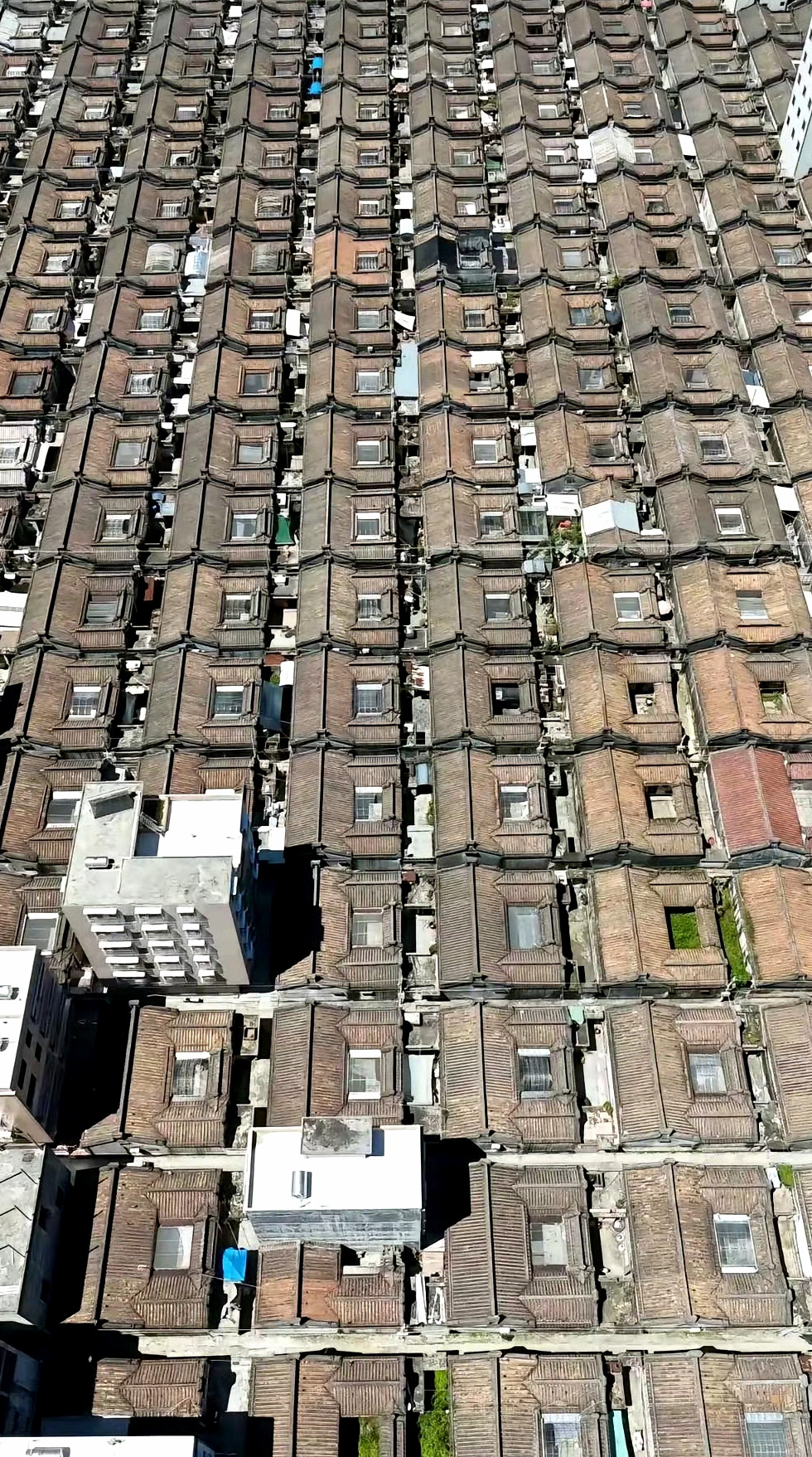 这是领导帝国时代打多了，修房屋必须紧挨着修，还要排列整齐