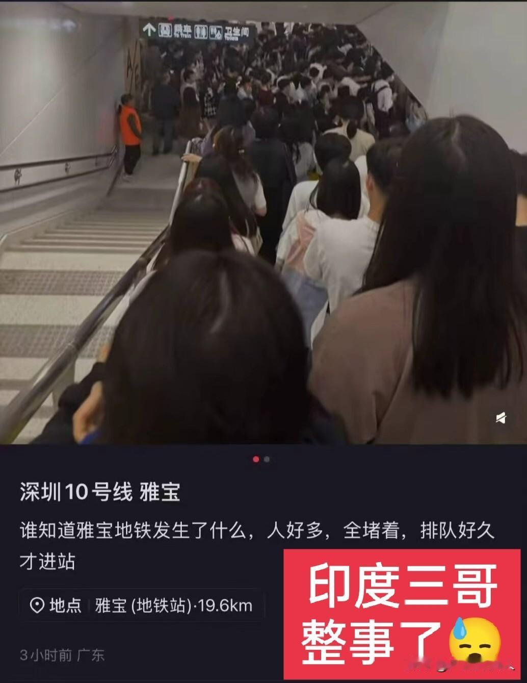 今年来广东的印度三哥太多了，特别是广州和深圳，到处都见到无数的三哥到处晃悠。这不