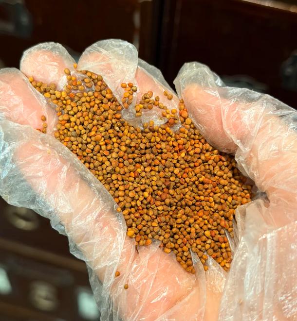 这味药，专调耳鸣脑鸣！我用30多年，便宜有效，今天公开给有缘人！上个月诊室来了