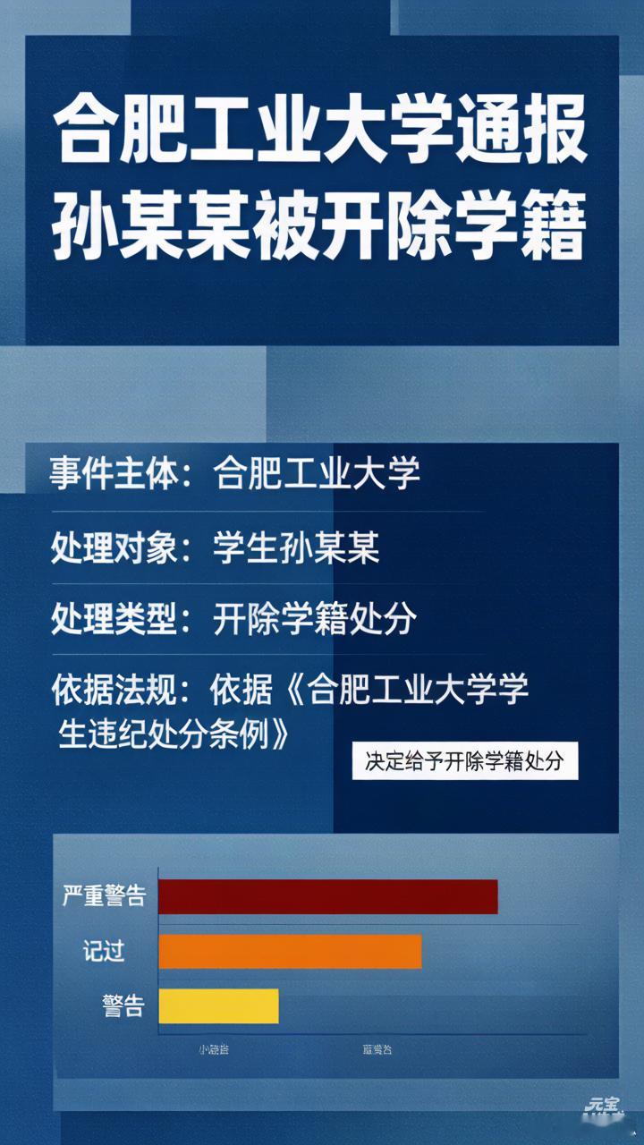 合肥工业大学通报孙某某被开除学籍🔥211高校学生盗用他人毕设获国奖，合工大雷霆