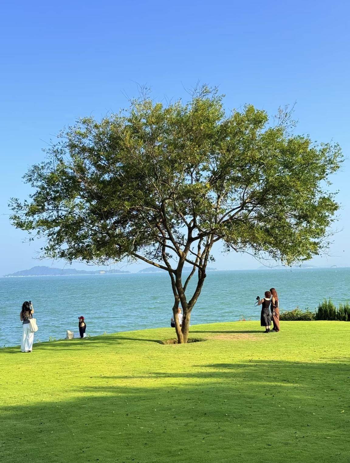 厦门是滨海旅游城市，城区就是靠近大海，不像福州主城区距离大海几十公里，来回去长乐