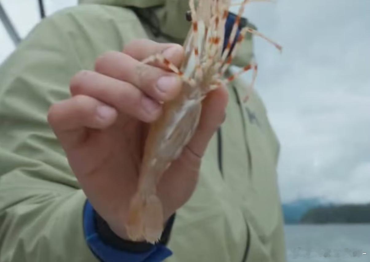 王一博：区区小飞侠轻松拿捏😎🤏🏻