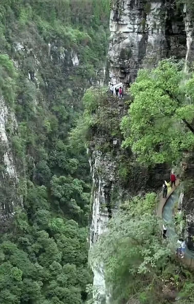 你相信缘分吗，我好像有点信了。如果不是缘分，这件事该怎么解释呢？女子和老公同一